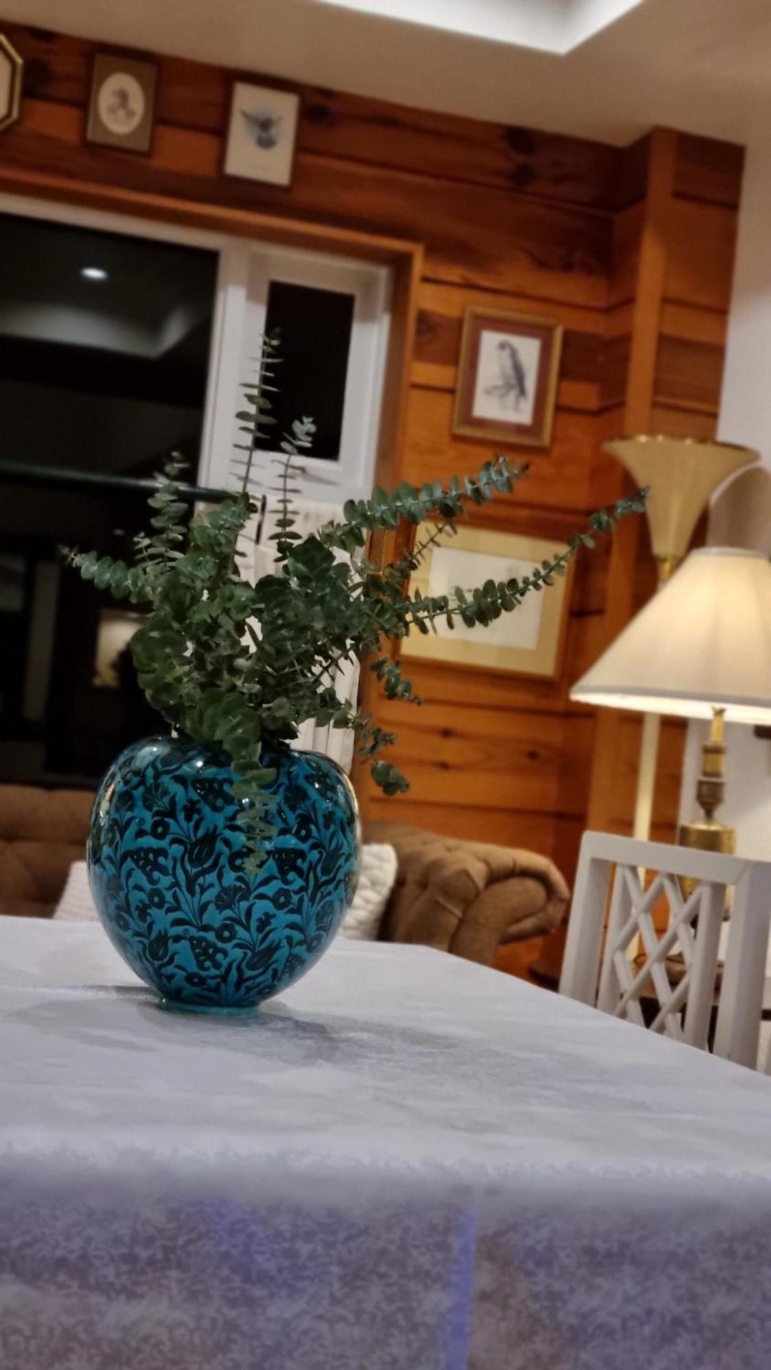 Guest Haven Chalet Baguio Bed And Breakfast Baguio City Buitenkant foto